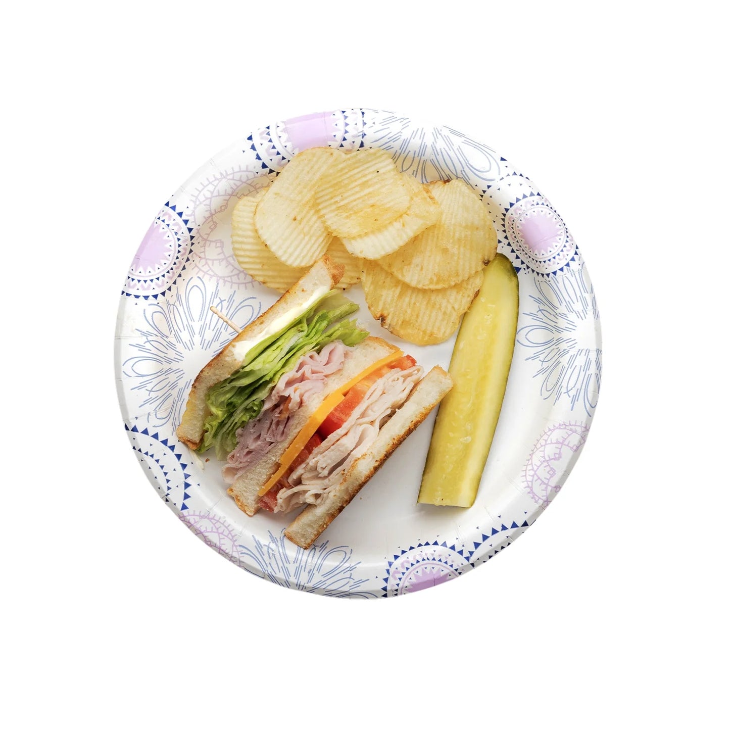 Disposable Paper Plates, 8.5", 100 Count