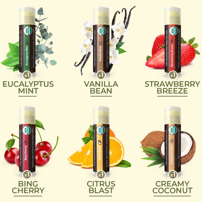 USDA Organic Lip Balm 6-Pack - Fruit Flavors, Beeswax, Coconut Oil, Vitamin E - Best Lip Repair Chapstick for Dry Cracked Lips - Moisturizing Lip Care