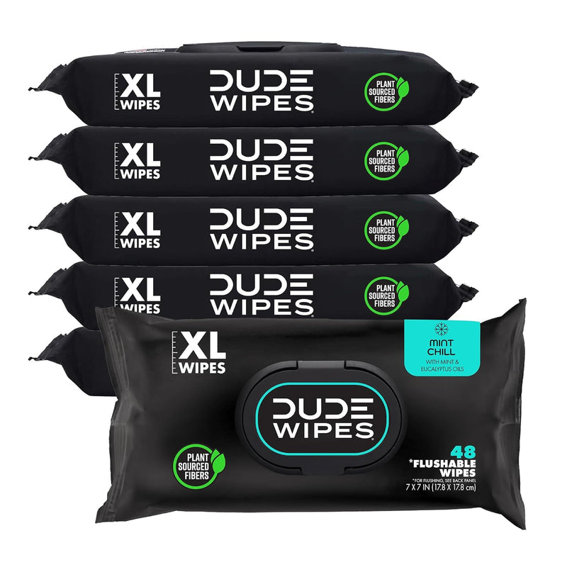 Flushable Wipes – 6 Pack (288 Count) Mint Chill with Aloe & Vitamin E, Septic Safe